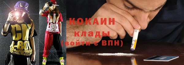 шишки Новозыбков