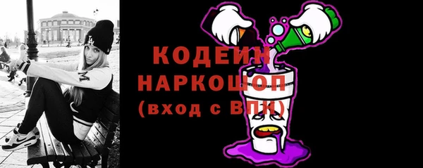 хмурый Алексин