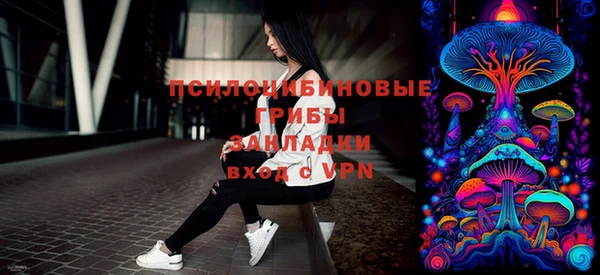 спиды Новодвинск