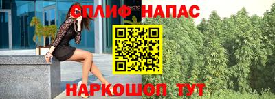 гидра Гусев