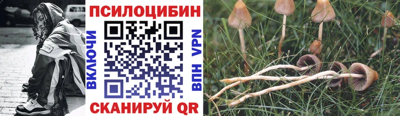 hydra ССЫЛКА  Омск  Псилоцибиновые грибы Magic Shrooms 