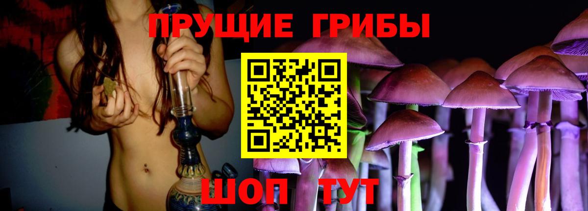 Омск  Псилоцибиновые грибы прущие грибы  Вход с VPN  Псилоцибиновые грибы Magic Shrooms 